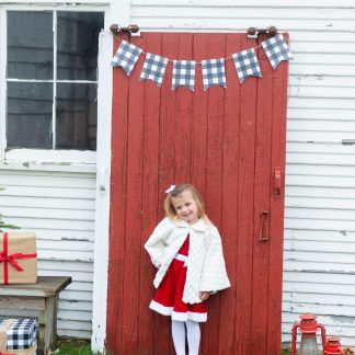 181118_ChristmasMini_298