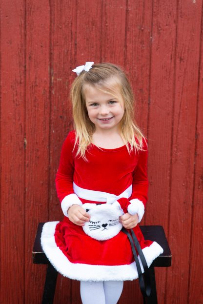 181118_ChristmasMini_340