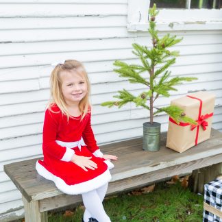 181118_ChristmasMini_349