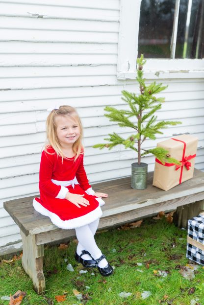 181118_ChristmasMini_349