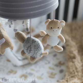 181219_CannonNewborn_004