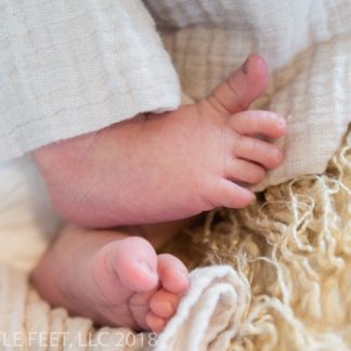181219_CannonNewborn_022