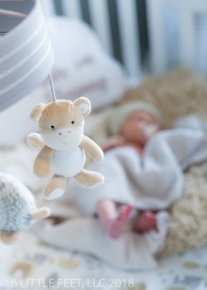 181219_CannonNewborn_025
