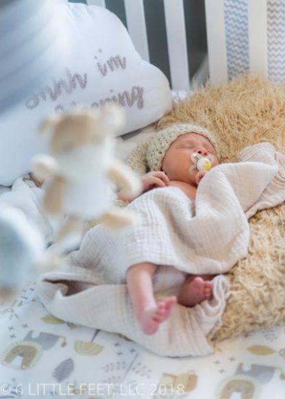 181219_CannonNewborn_026
