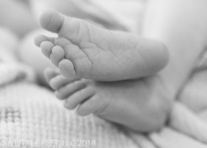 181219_CannonNewborn_096