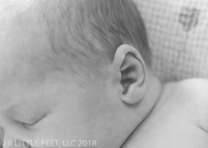 181219_CannonNewborn_098