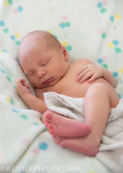 181219_CannonNewborn_106