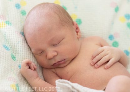 181219_CannonNewborn_109