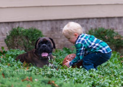 191214_Connor2Year_294