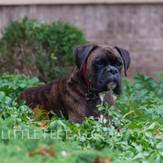 191214_Connor2Year_297
