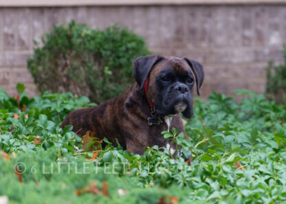 191214_Connor2Year_297