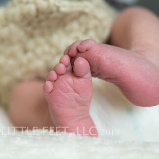 200317_MerrickNewborn_152