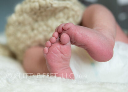 200317_MerrickNewborn_152