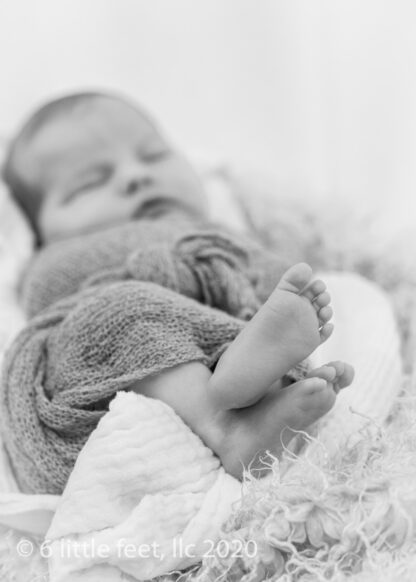 2020_AlbionNewborn_033