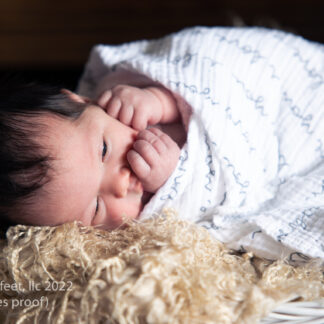 20220605_NatalieNewborn_032-5