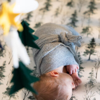 20220831_WilliamNewborn_009