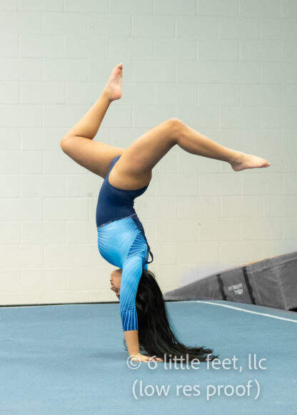 20240307_RachelSeniorGymnastics2_009