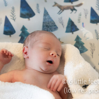 20240318_WalterNewborn_009