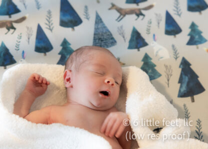 20240318_WalterNewborn_009